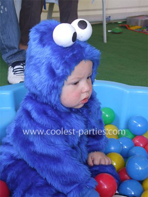 DIY Cookie Monster  Monster 1st birthdays, Cookie monster