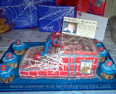 Melissa's Spiderman Party Tale